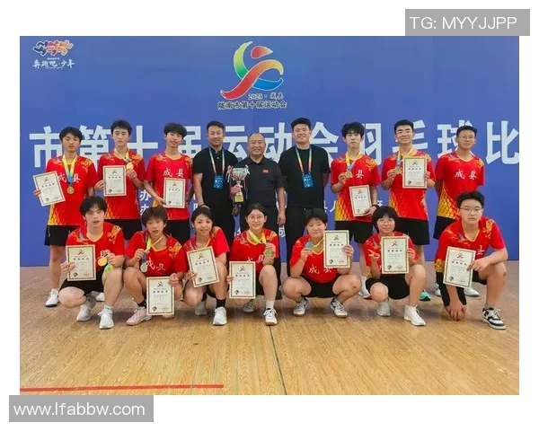 成都羽毛球队运营揭秘：探索羽毛球深度与发展之路