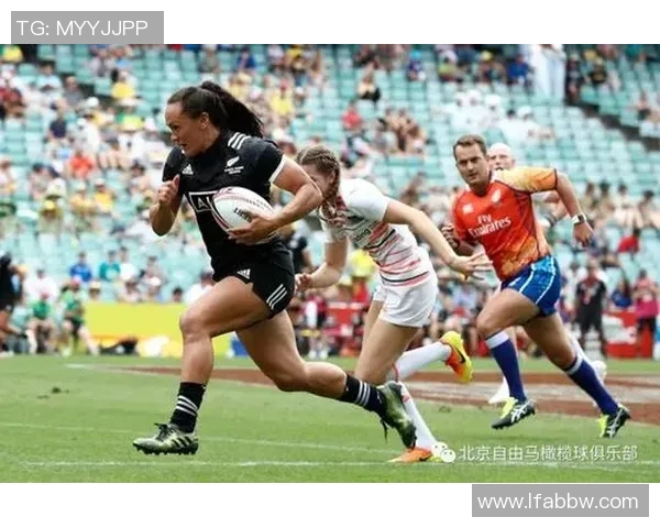 海运联与热刺激战正酣谁能在这场对决中笑到最后