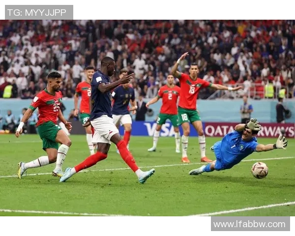 男篮世预赛精彩对决法国队迎战芬兰队全力争胜