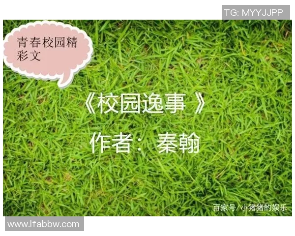 马丁内利的成长之路：从青涩小将到球场明星的蜕变历程