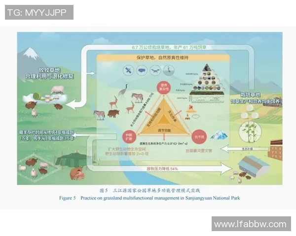 鸟栖沙岩与清水的对比分析探讨生态环境与生物多样性的关系