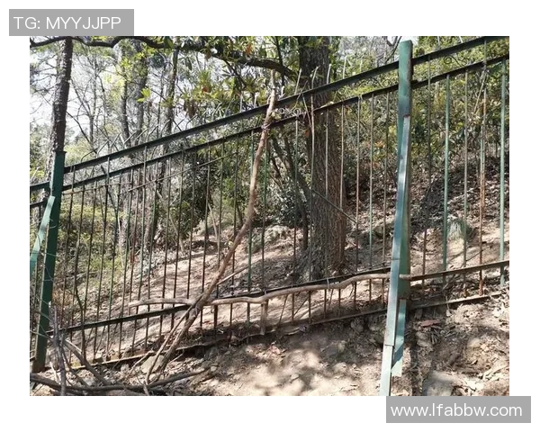 杭州攀岩队心理素质提升之路探讨与实践分享MBA 杭州攀岩队心理素质提升之路探讨与实践分享MBA