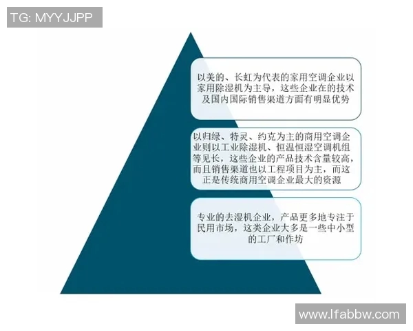 数据分析视角下液化天然气市场动态与表现研究
